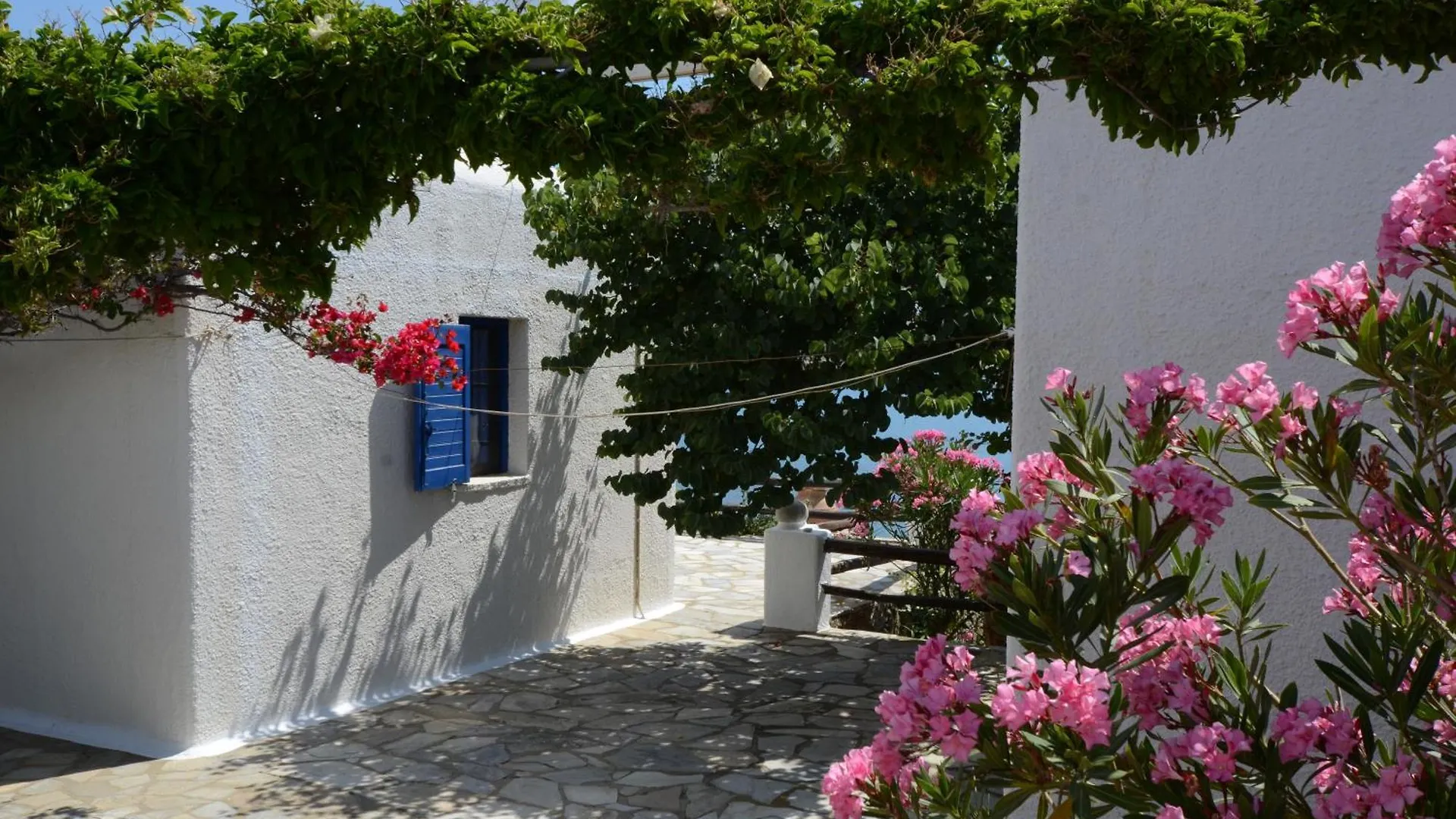 Villas Kalafatis Apartments Greece